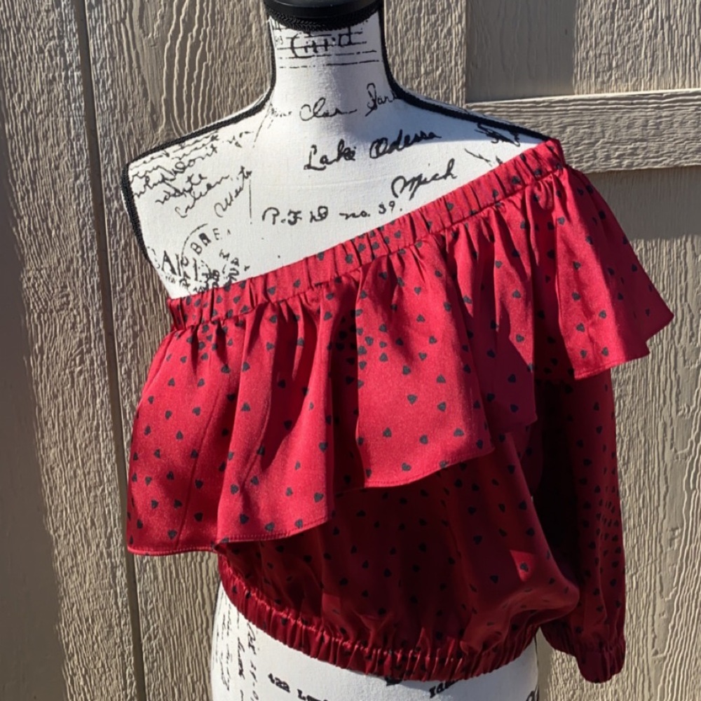Express (New) One Shoulder Ruffle Top
